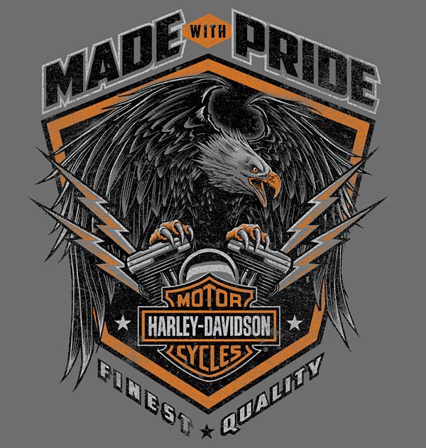 Harley-Davidson 骷髅与纸...