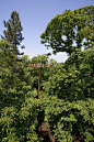 树顶人行道/Marks Barfield Architects
