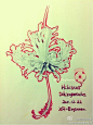 2011.12.22 Hibiscus schizopetalus 吊灯扶桑 花语：相信你。
