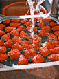 富士相机｜太喜气了，新年红·草莓季