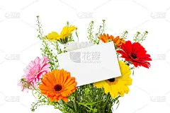 鲜花、花束和空白贺卡