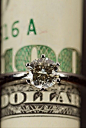 Weddings on a budget: the Budget Savvy Bride-awesome site