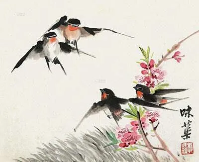 中国画中的燕子与诗中燕。（建议收藏）-花瓣网