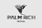 Palm Rich酒店品牌设计 设计资讯 详情页 设计时代网