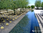 庄园︱安纳伯格庄园Sunnylands Center and Gardens