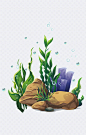 卡通海草PNG素材|海草,海底,水底,绿色植物,卡通植物,绿色叶子,自然元素,免扣png,png,卡通,免抠,手绘,水泡,素材