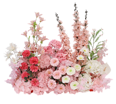 雨落の花香采集到【勉抠】---png花