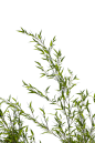 JZ_229