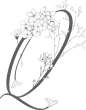 唯美婚礼素描字母花卉植物海报请柬装饰免抠PNG元素图案PS合集 (19)