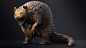 Pangohyena Monster, , Nemow__ - CGSociety