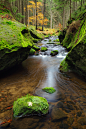 Bohemian Switzerland, Czech Republic (by Martin Rak)