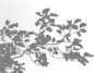 webp (3)_看图王.web(2)