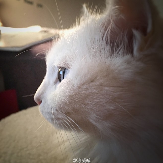 你的目光蒸发成雨