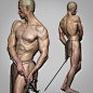 Zweihänder ⚔️ - Anatomy Study