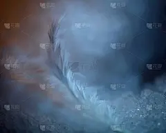 雪,柔和,翎毛,抽象,冰块,美术绘画,冷,飘然,照明设备,灵感
