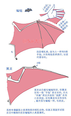 莫测的笑意采集到肢体结构