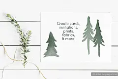 13个水彩常绿树(圣诞松树)笔刷集合Watercolor_Evergreen_Trees_Brush_Set-设计插件-@美工云(meigongyun.com)