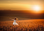 Photograph Harvest Gold by Jake Olson Studios on 500px