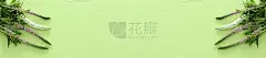 一束粉红色和白色的花在淡绿色的木质背景上。俯视图，平放