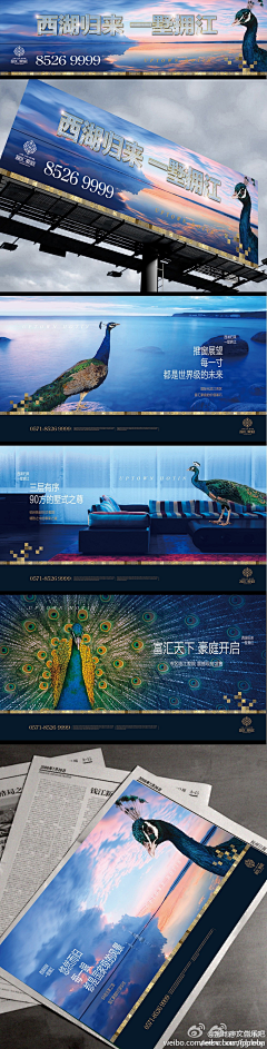 Angelafreedom采集到海报