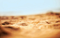 General 2560x1600 macro sand nature depth of field