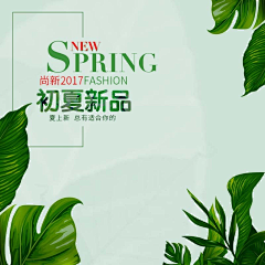 韦小娟采集到背景素材