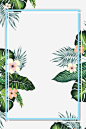 绿色大叶子与小花朵装饰边框高清素材 网页 设计图片 免费下载 页面网页 平面电商 创意素材 png素材