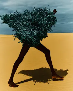色彩的感染力©Edgar Berg
   

&quot;

我是一片森林，亦是暗夜密林：

然若他无惧我的幽暗，

定能在柏枝之下觅得盛放的玫瑰。

&quot;

——〔德〕尼采《查拉图斯特拉如是说》

 

这段出自尼采《查拉图斯特拉如是说》的诗句，以森林意象诠释了深邃的生命哲学。

黑暗森林象征人性或世界的复杂幽暗面，而敢于直面这种幽暗的人，终将在荆棘丛生处发现生命的美好馈赠——如同柏树枝丫下盛放的玫瑰，隐喻痛苦中孕育的超越性价值。

尼采通过这种强烈的意象对比，传递了存在主义的核心观点：唯有接纳