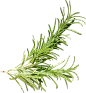 喜提地球：植物 水果
