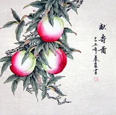 秦霞工笔花鸟作品欣赏