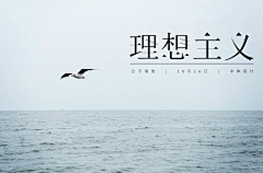 专注看热闹20年采集到创意