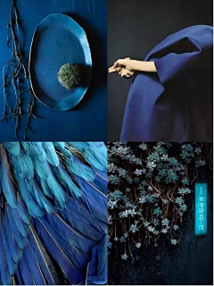 花泽湘菜采集到色卡