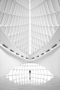 santiago calatrava / the  fine arts museum