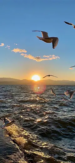 风景壁纸 - 高清图片，堆糖，美图壁纸兴趣社区