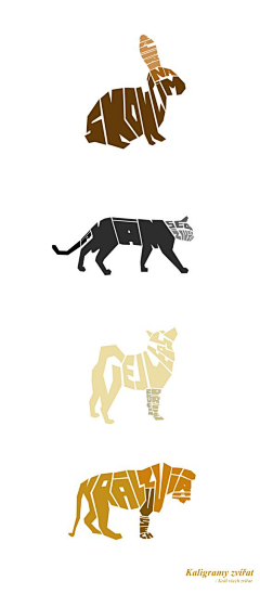 啤酒猫采集到啤酒猫集logo