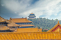 紫禁城是世界上最大的宫殿建筑群。