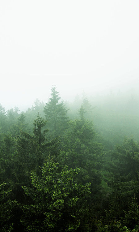 (2) Tumblr