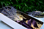 法国进口薰衣草永生花盒-查好评http://www.chahp.com/index.php?m=item&a=index&id=1823
