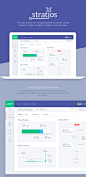 Stratjos: Dashboard Design : Dashboard design concept for Stratjos for managing software projects. House keeping. Insights. Analytics. Simple to use and setup.