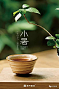 【茶文】小暑 | 心如止水处，杯茶品清凉-津乔普洱