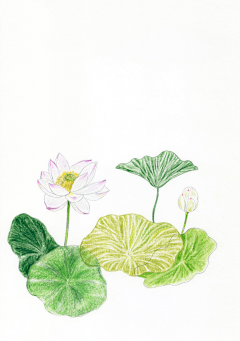 是梦远吖~采集到古风元素PNG