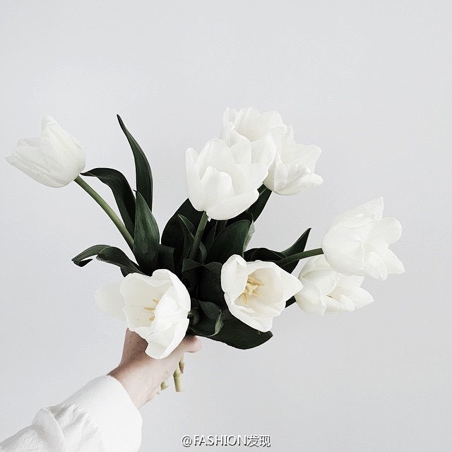 FASHION发现的微博_微博