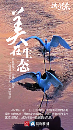 想瘦的晴采集到发布会