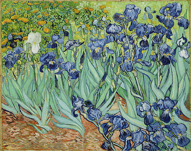 File:VanGoghIrises2....