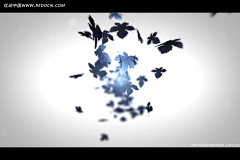 树叶纷飞光晕背景视频LED视频|创意个性视频|光晕背景|国外广告视频素材|视频素材|视频下载|树叶纷飞|影视模板|影视视频|影视公司名片模板|影视类海报模板素材|影视名片设计模板|影视模板公益