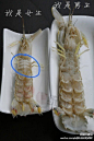 【怎么挑皮皮虾的公母】：皮皮虾快大量上市了哈。最好买活的，个头较小，肚子上有“王”字的是母的，煮好后肉中有黄儿。个头儿略大，肚子上没王字的是公的，没有黄儿，但肉厚。活皮皮虾买回能保持约3小时，尽快食用。最好不放冰箱隔夜吃，否则肉会慢慢变空。