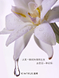 一个征集|爱是跳进旋涡 - 小红书