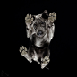 #作品欣赏# Under-Dogs.
By​ Andrius Burba O网页链接 ​​​​