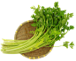 芹菜 菜png