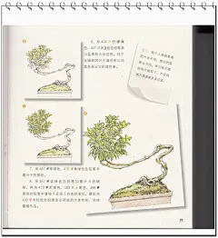[萌绘 彩铅手绘]色铅笔绘画技法宝典 色铅笔教程-淘宝网